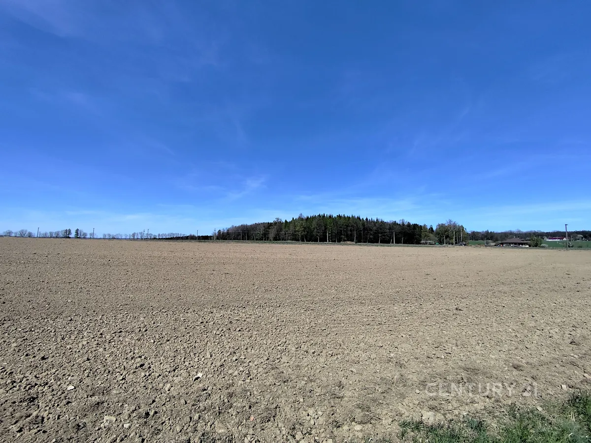 Fotka 10 z 14
